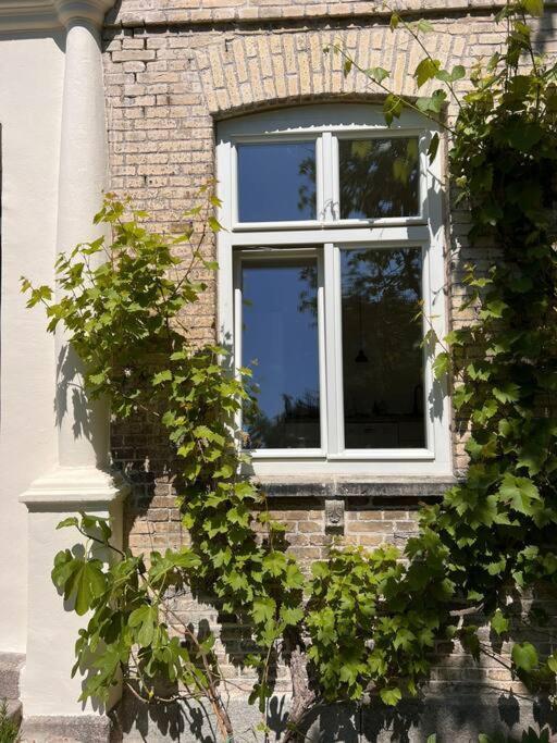 Idyllisches Appartement Nahe Ostsee Und Schlei Rabenkirchen-Faulück Dış mekan fotoğraf