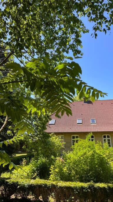 Idyllisches Appartement Nahe Ostsee Und Schlei Rabenkirchen-Faulück Dış mekan fotoğraf